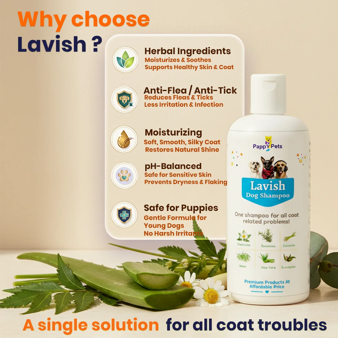 LAVISH Dog Shampoo image 2